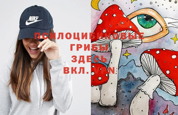 метамфетамин Белокуриха