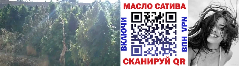 Купить где  Нефтегорск  Дистиллят ТГК Wax 