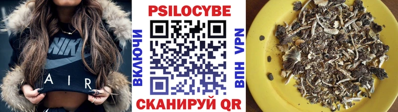 Купить где  Нефтегорск  Галлюциногенные грибы Cubensis 