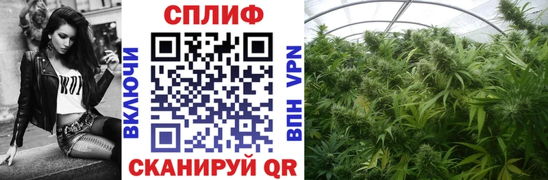 Купить закладки  Нефтегорск  МАРИХУАНА Ganja 